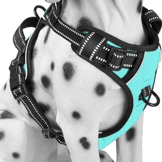 No Pull Dog Harness, Reflective Comfortable Vest Harness with Front & Back 2 Leash Attachments and Easy Control Handle Adjustable Soft Padded Pet Vest for Small Medium Large Dogs (Mint Blue,M)