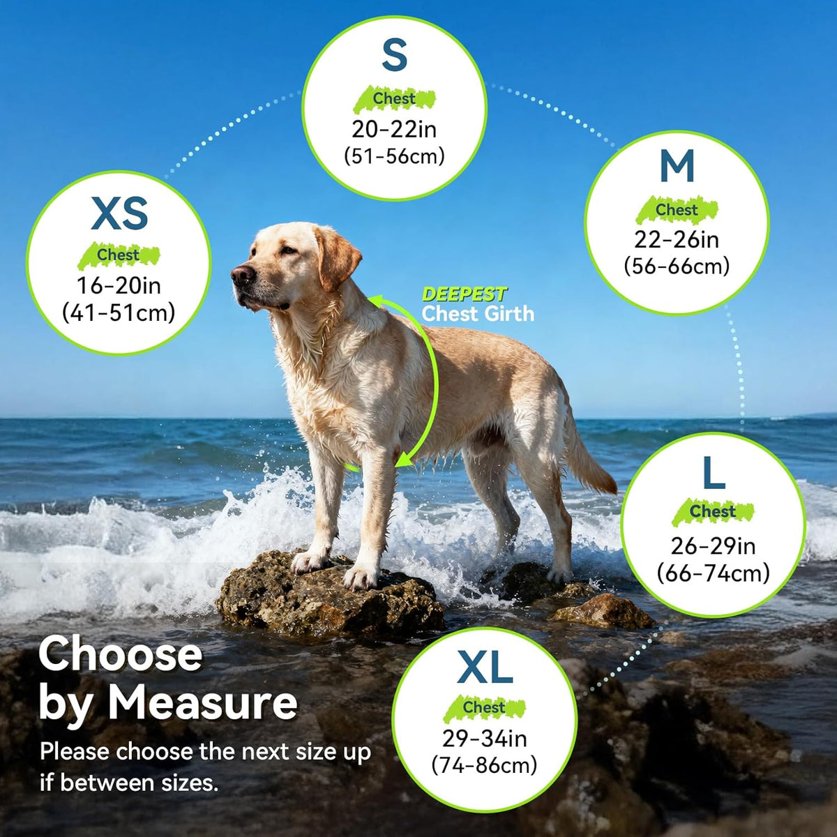 Dog Life Vest Neoprene Dog Swim Vest, XS, Cyra Blue | High Visibility Adjustable for Doggy Cat Puppy, Lifejacket with Leash Ring & Handle for Swimming & Boating