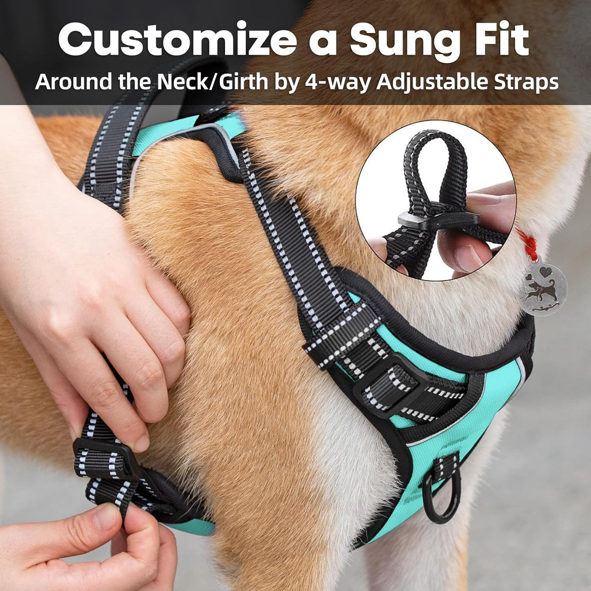 No Pull Dog Harness, Reflective Comfortable Vest Harness with Front & Back 2 Leash Attachments and Easy Control Handle Adjustable Soft Padded Pet Vest for Small Medium Large Dogs (Mint Blue,M)
