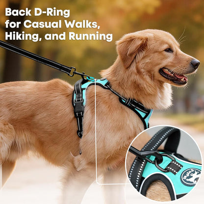 No Pull Dog Harness, Reflective Comfortable Vest Harness with Front & Back 2 Leash Attachments and Easy Control Handle Adjustable Soft Padded Pet Vest for Small Medium Large Dogs (Mint Blue,M)