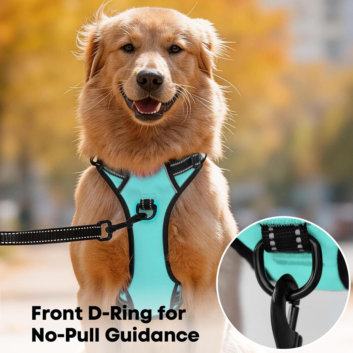 No Pull Dog Harness, Reflective Comfortable Vest Harness with Front & Back 2 Leash Attachments and Easy Control Handle Adjustable Soft Padded Pet Vest for Small Medium Large Dogs (Mint Blue,M)
